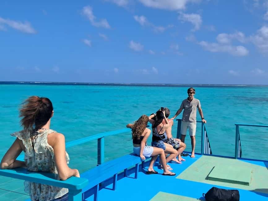 Tobago: Buccoo Reef Marine Park Glass Bottom Boat Tour - Key points before you go