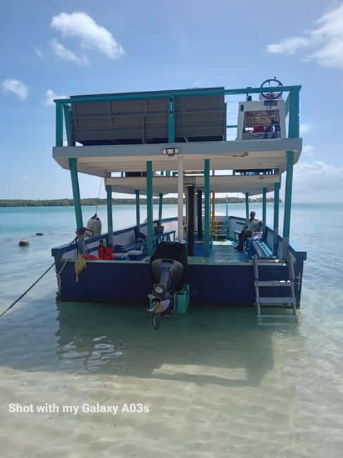 Tobago: Buccoo Reef Marine Park Glass Bottom Boat Tour - Why Buccoo Reef Marine Park feels different from a typical boat trip