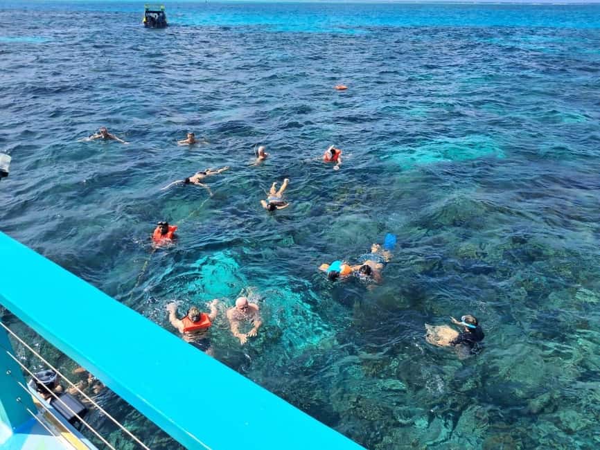 Tobago: Buccoo Reef Marine Park Glass Bottom Boat Tour - Coral Garden snorkeling and the spheroid brain coral moment