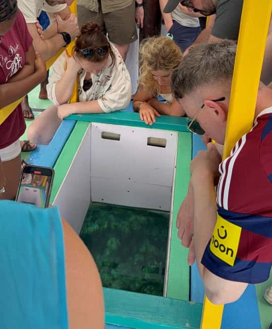 Tobago: Buccoo Reef Marine Park Glass Bottom Boat Tour - Timing and logistics that actually matter (not annoying trivia)