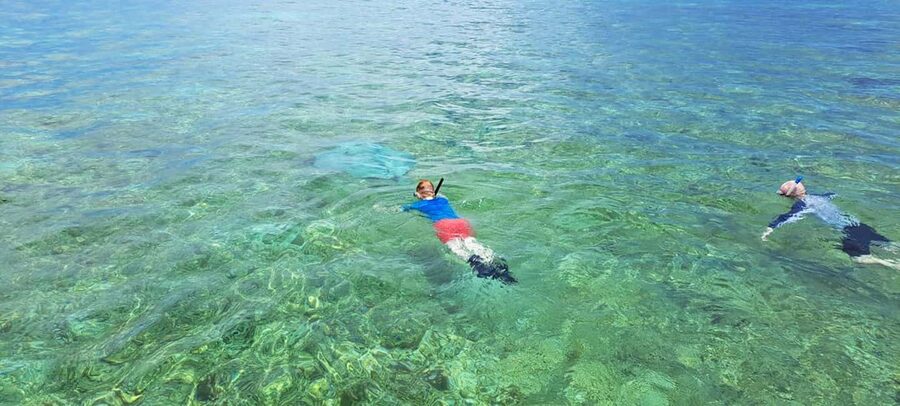 Tobago: Coral Reef Boat Tour with BBQ and Transfer - Nylon Pool: The Lagoon Break That Feels Like a Vacation Inside the Vacation