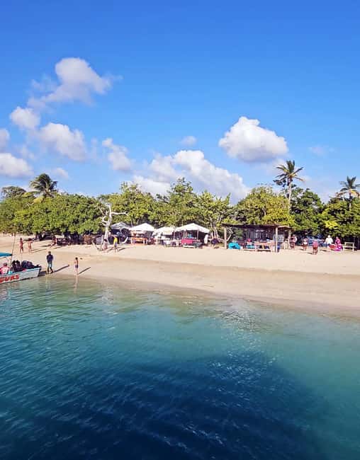 Tobago: Coral Reef Boat Tour with BBQ and Transfer - Who This Tour Suits Best (And Who Might Want a Different Plan)