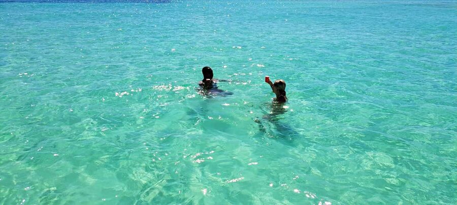 Tobago: Coral Reef Boat Tour with BBQ and Transfer - Should You Book This Tobago Coral Reef Tour With BBQ and Transfer?