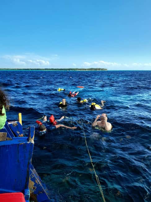 Tobago: Coral Reef Boat Tour with BBQ and Transfer - Coral Gardens Snorkeling: Seeing Fish and Coral Up Close