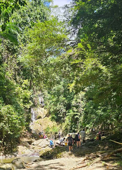 Tobago: Half Day Atlantic Coast Tour with Transfer - Key Points at a Glance