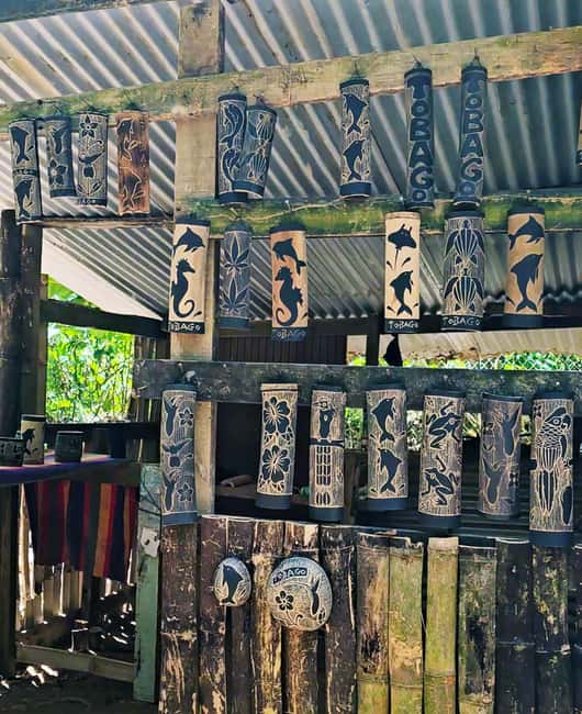 Tobago: Half Day Atlantic Coast Tour with Transfer - Atlantic Coast Touring, Without the Full-Day Commitment