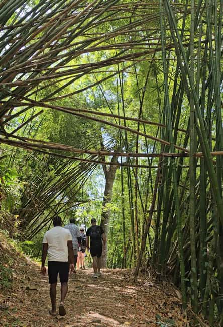 Tobago: Half Day Atlantic Coast Tour with Transfer - Fort Granby: Coastal Views and the Colonial Past at a Photo-Friendly Pace