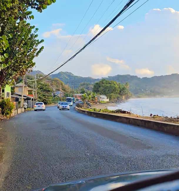 Tobago: Half Day Atlantic Coast Tour with Transfer - How Your Guide Can Change the Whole Day