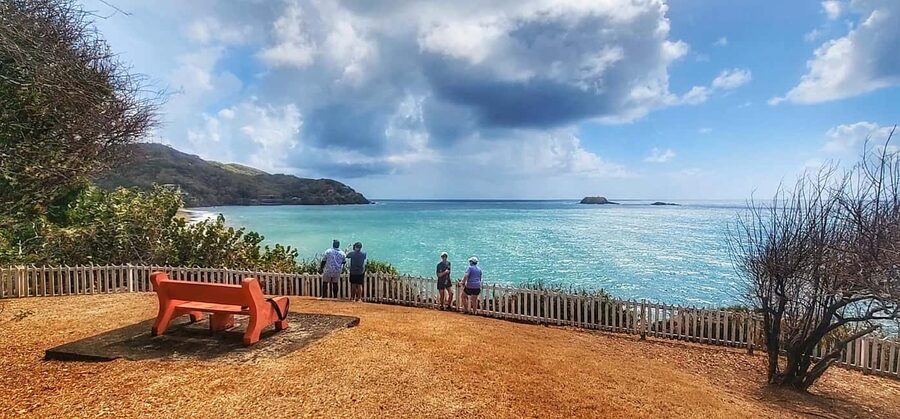 Tobago: Half Day Atlantic Coast Tour with Transfer - Price and Value: Is $80 a Fair Deal for This Route?
