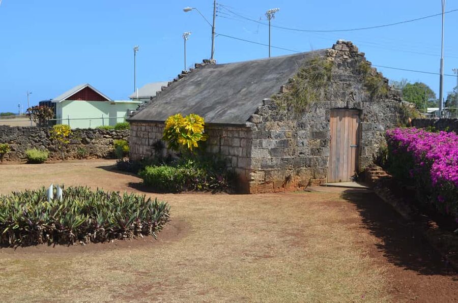 Tobago: Half-Day Highlights Tour - Key highlights to look for on this Tobago loop