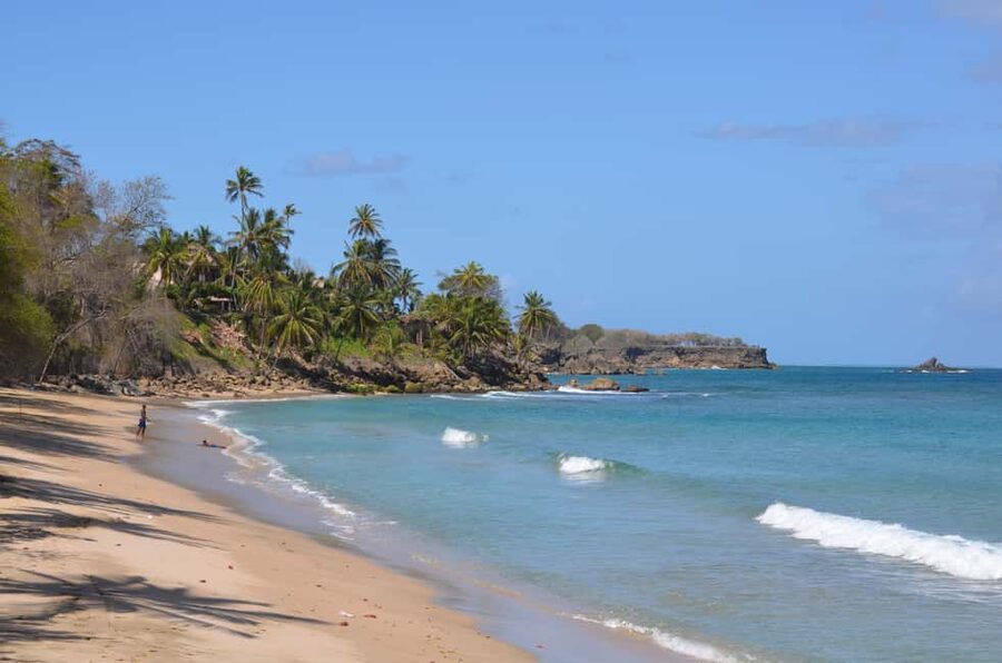 Tobago: Half-Day Highlights Tour - Scarborough first: getting your bearings fast (and smart)