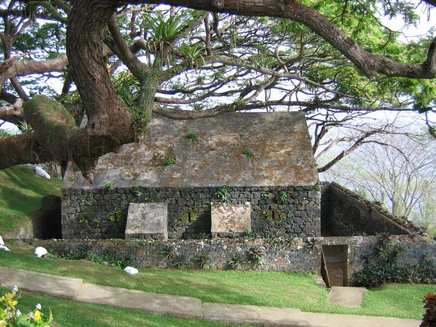 Tobago: Half-Day Highlights Tour - Cross-island drive: why the scenery feels like a changing cast