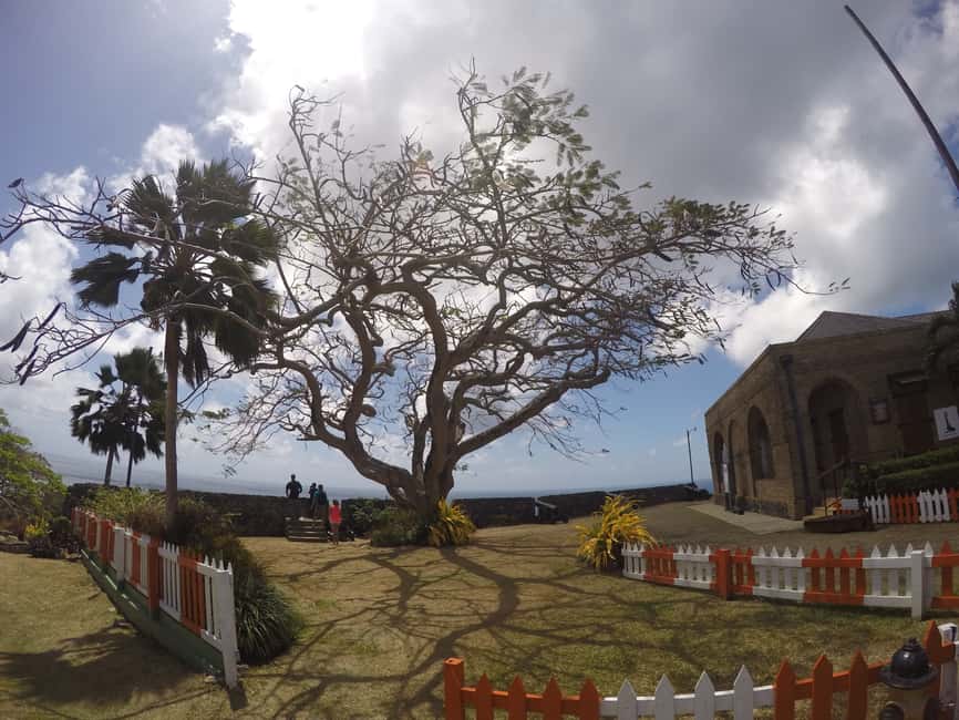 Tobago: Half-Day Highlights Tour - Plymouth and Fort James: the Betty Stiven mystery moment