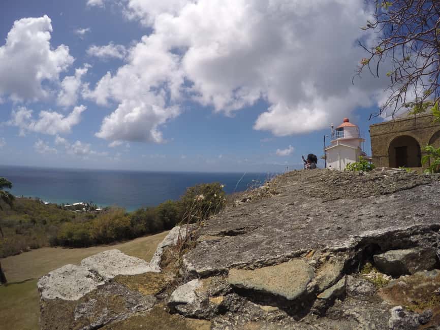 Tobago: Half-Day Highlights Tour - Store Bay: beach time plus local crafts and food