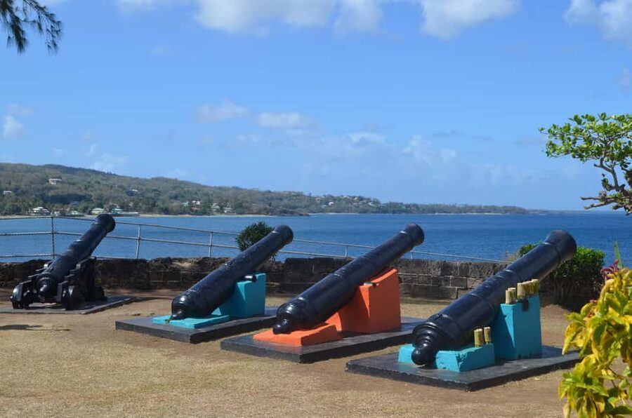 Tobago: Half-Day Highlights Tour - Who should book this Tobago highlights tour