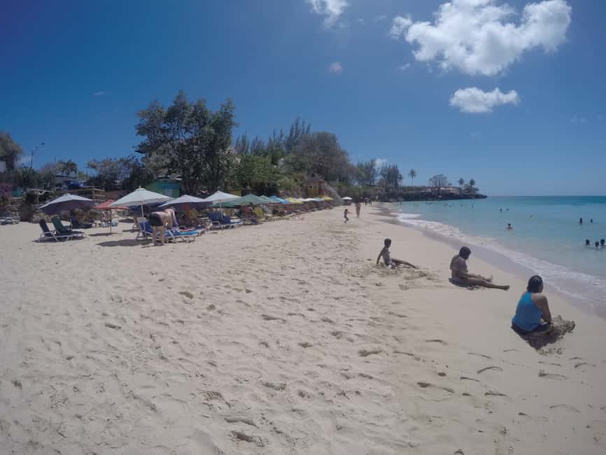 Tobago: Half-Day Highlights Tour - What to bring so the day feels easy
