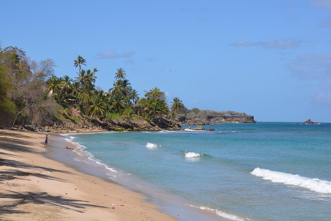 Tobago Island Tour - Key Things I’d Watch For
