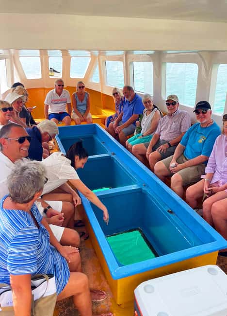 Tobago: Little Tobago Bird Sanctuary Visit and Boat Tour - Key moments you will actually remember