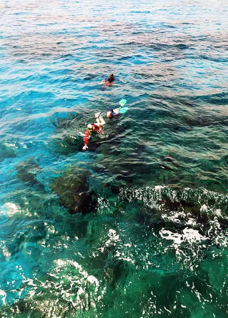 Tobago: Little Tobago Bird Sanctuary Visit and Boat Tour - Little Tobago Bird Sanctuary: Where You Learn to Look Up