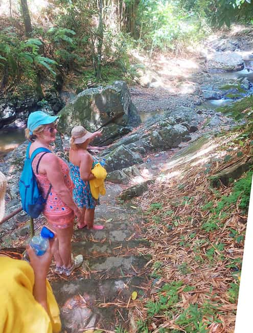 Tobago: Little Tobago Bird Sanctuary Visit and Boat Tour - Transportation and Timing: Why Local Drivers Matter