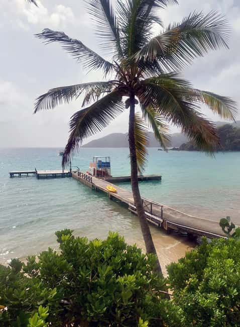 Tobago: Little Tobago Bird Sanctuary Visit and Boat Tour - Speyside Glass-Bottom Boat: Clear Reef Viewing Without Full Snorkel Commitment