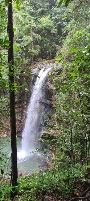 Trinidad: Avocat Waterfall and Maracas Bay Beach Tour - Price and value: why $115 can be fair for this day