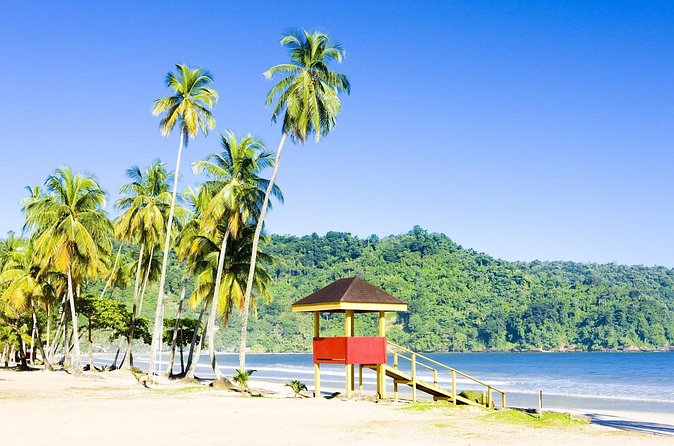 Trinidad Highlights and Scenic Drive Tour - Saddle Road Time: Lady Young Lookout and the View of Port of Spain