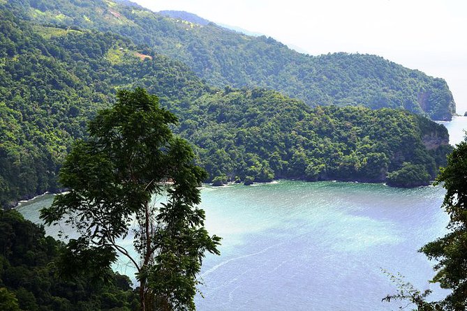 Trinidad Highlights Tour from Port of Spain - Who Should Book This Tour, and Who Might Skip It