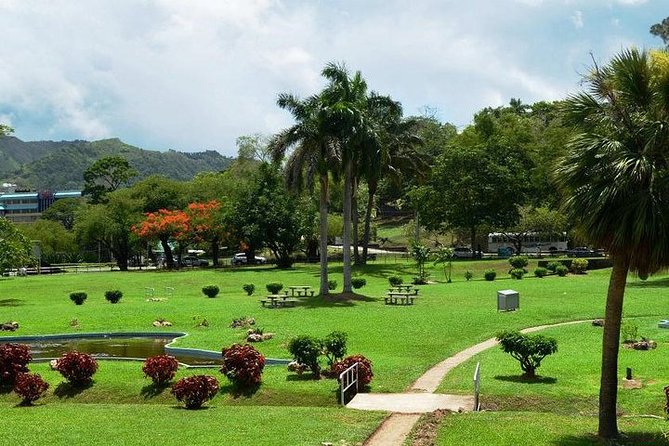Trinidad Highlights Tour from Port of Spain - Should You Book the Trinidad Highlights Tour From Port of Spain?
