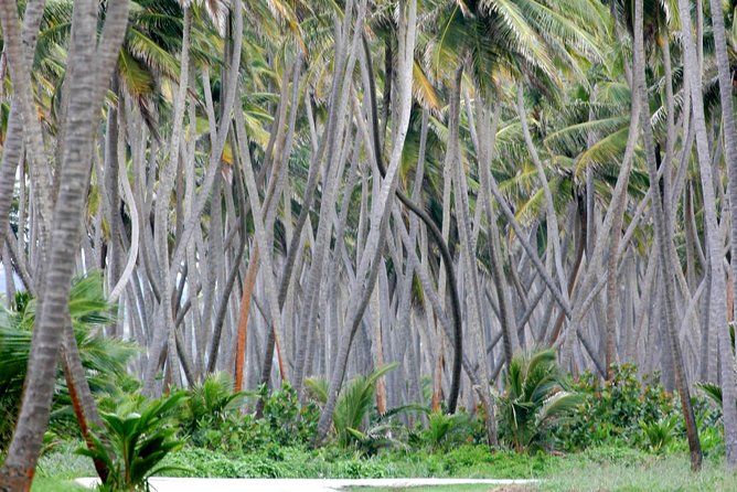 Trinidad Island Circle Tour with Pickup - What this Trinidad island circle tour really delivers
