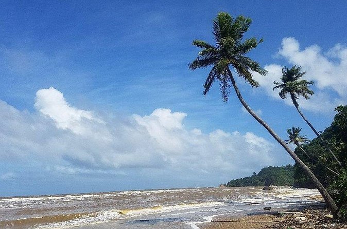 Trinidad Island Circle Tour with Pickup - Mayaro Beach and the Gulf of Paria coastline feel
