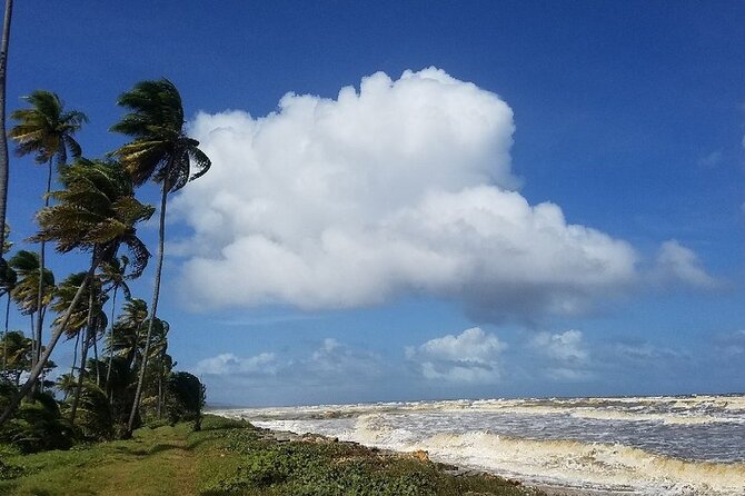 Trinidad Island Circle Tour with Pickup - How much driving should you expect, and when does it feel best?