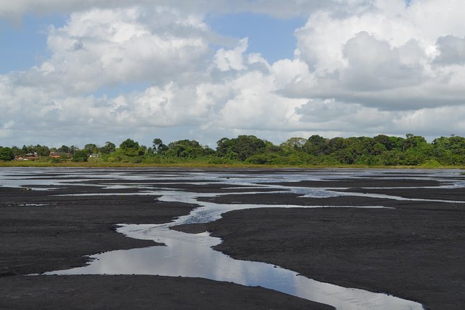 Trinidad Island Sightseeing Tour: Pitch Lake and Chaguanas - The Dattatreya Temple and Hanuman Statue Stop: Religion You Can Actually See
