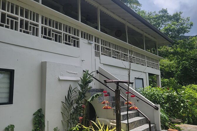 Trinidad Nature and Asa Wright Center Full-Day Tour from Port of Spain - The optional Arima fresh food market time
