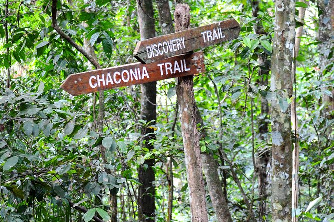Trinidad Nature and Asa Wright Center Full-Day Tour from Port of Spain - After rainforest time: the natural fresh water pool stop