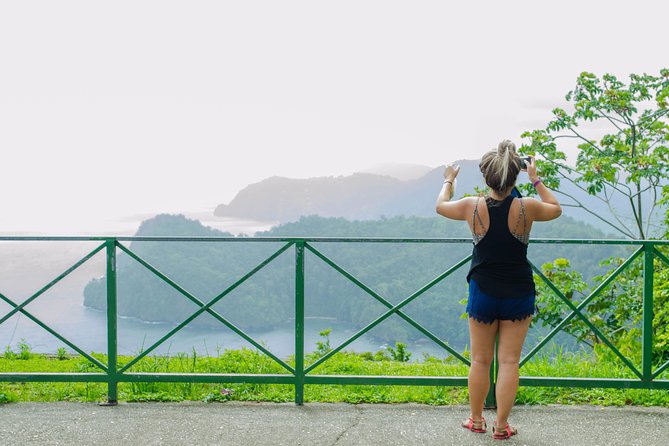 Trinidad Northern Eco-Cultural Full-Day Highlights Tour from Port of Spain - The Caroni Bird Sanctuary boat cruise at sunset: ibis, mangroves, and wildlife spotting