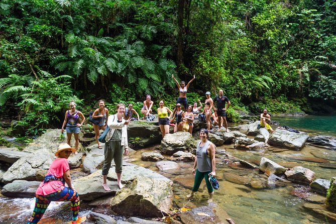 Trinidad Rainforest Hike to Waterfall - Guides Make or Break This Kind of Day