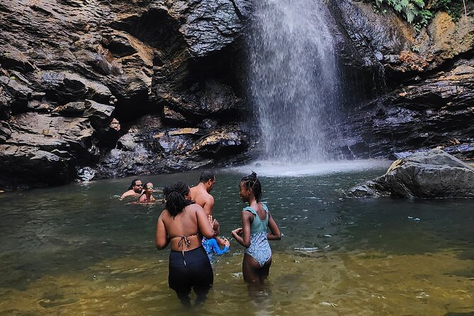 Trinidad Rainforest Hike to Waterfall - Price and Value: Is $115 Worth It?
