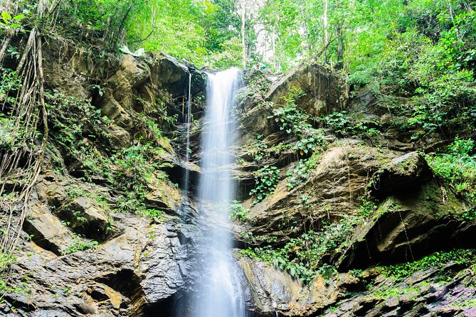 Trinidad Rainforest Hike to Waterfall - Timing, Pace, and What to Wear for an 8-Hour Day