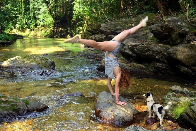 Trinidad Rainforest Hike to Waterfall - Avocat Waterfall: Guided Rainforest Walking and a Swim at 65 Feet