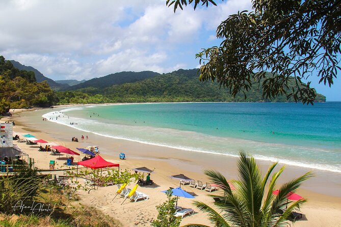 Trinidad True North Coast Excursion - The North Coast Route: Why This Half-Day Feels Like More