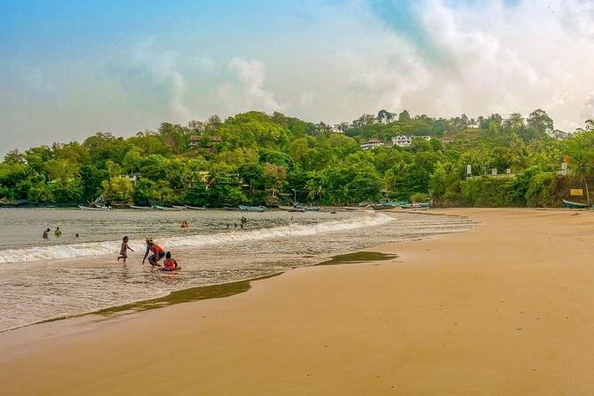 Trinidad True North Coast Excursion - Price and Value: What $150 Buys on This Route