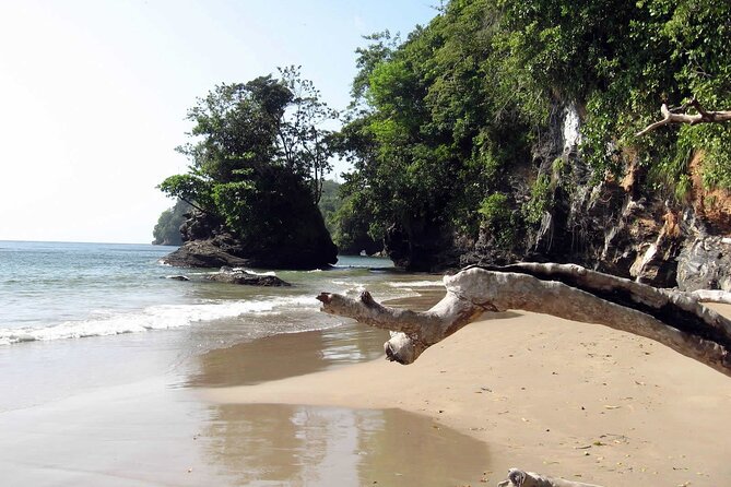 Trinidad True North Coast Excursion - Tyrico Bay (Indian Bay) to Las Cuevas: Two Beach Flavors in One Route