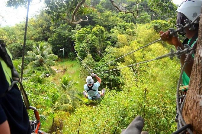 Trinidad Zipline Adventure - Key takeaways before you book