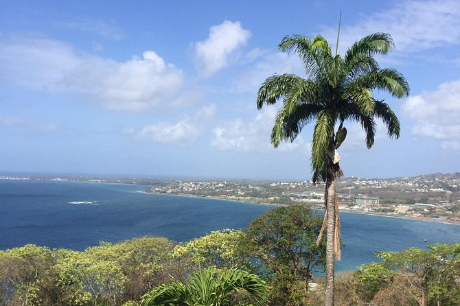 VIP Inclusive Private Tour of Island (Lunch, Drinks + Snorkeling) - Key things to know before you go