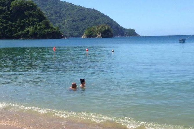 VIP Inclusive Private Tour of Island (Lunch, Drinks + Snorkeling) - A VIP day on Tobago that stays practical