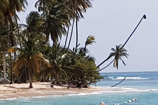 VIP Inclusive Private Tour of Island (Lunch, Drinks + Snorkeling) - Stop 4: Pirate’s Bay and the long coast block