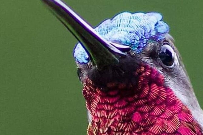 Yerette Home of the Hummingbird - Private garden time, pickup included, and how the 3 hours usually feel